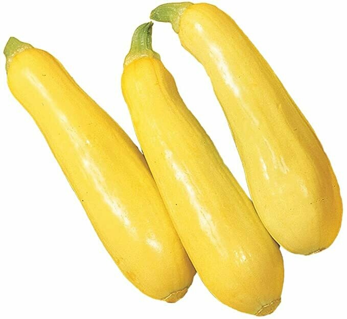 Squash, Yellow - Per Each