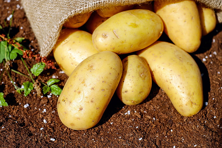 Potatoes, Russet 5 LB - Per Each