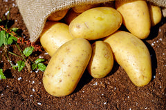 Potatoes, Russet - Per LB