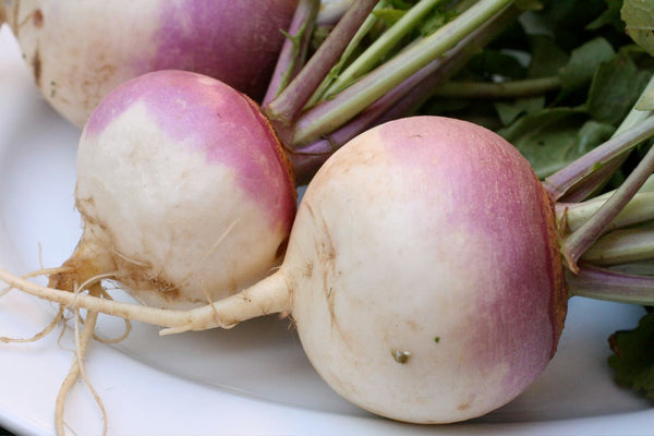 Turnips - Per LB