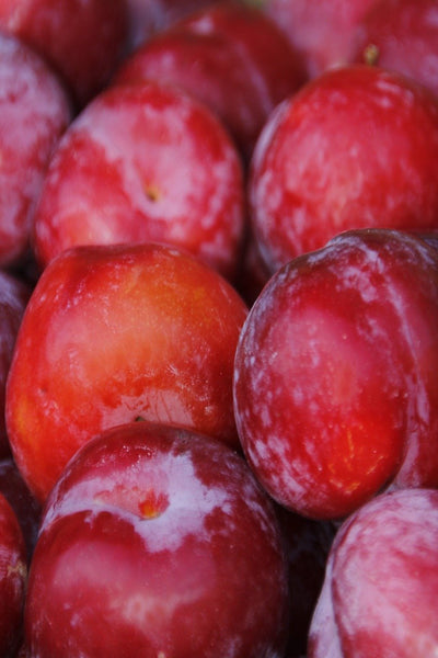 Plums, Red - Per LB