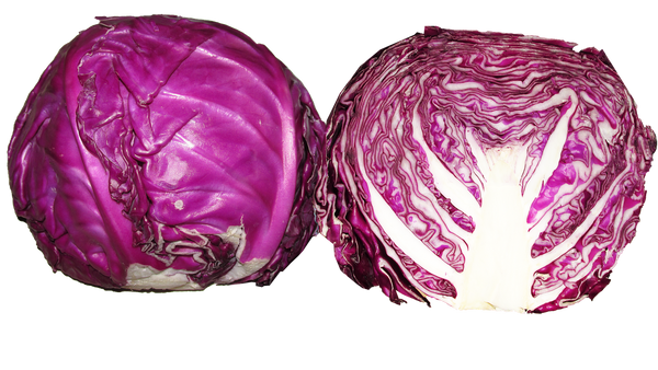 Cabbage, Red - Per LB