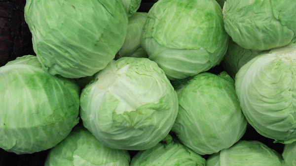 Cabbage, Green - Per LB