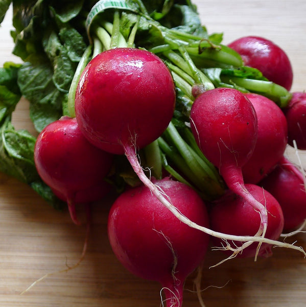 Radish - Per LB