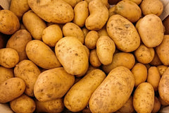 Potatoes, Russet 10 LB - Per Each