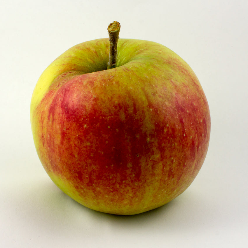 Apples, Jonagold - Per LB