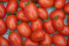 Tomatoes, Roma - Per LB